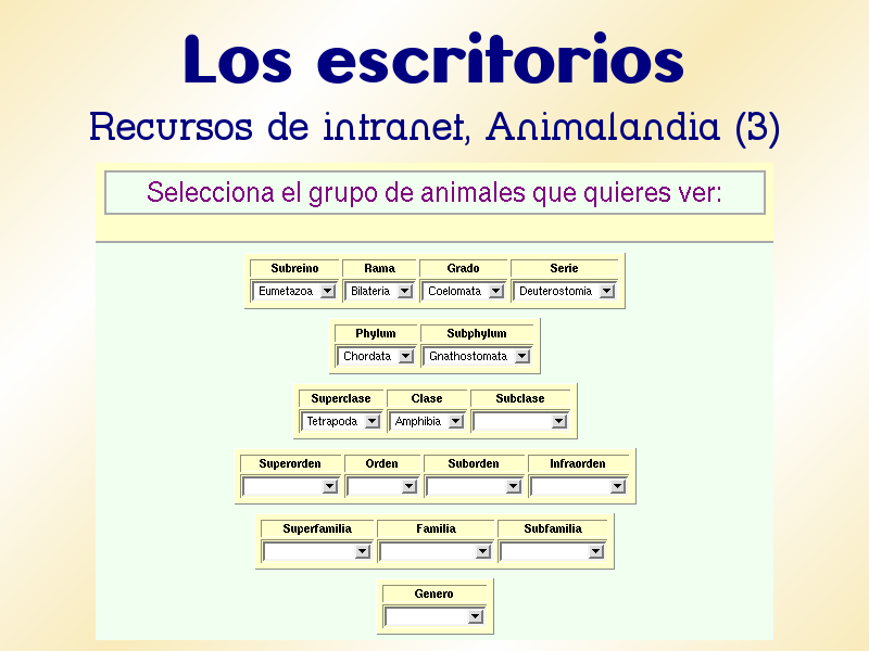 Diapositiva 46