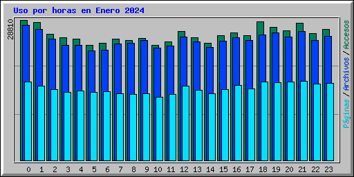 Uso por horas en Enero 2024