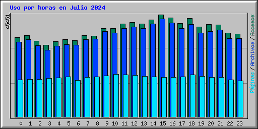 Uso por horas en Julio 2024