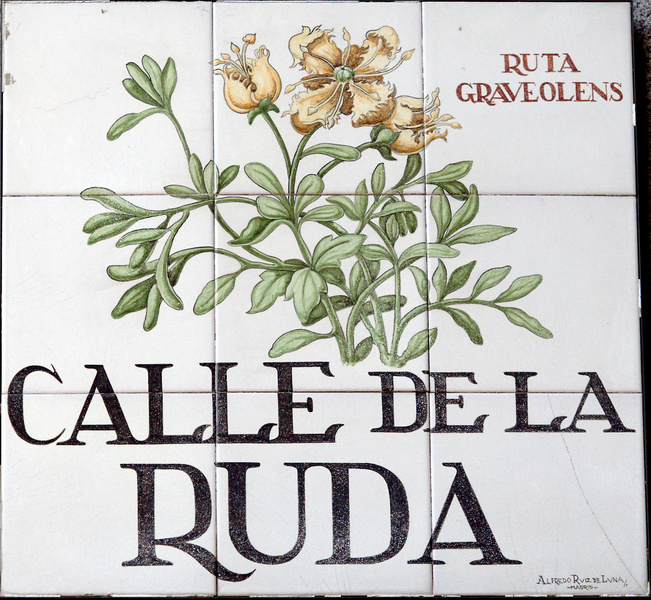 Calle de la Ruda