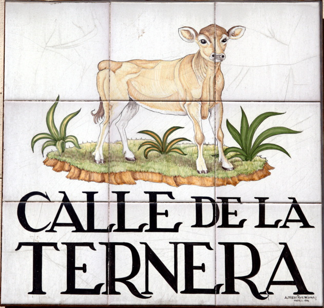 Calle de la Ternera